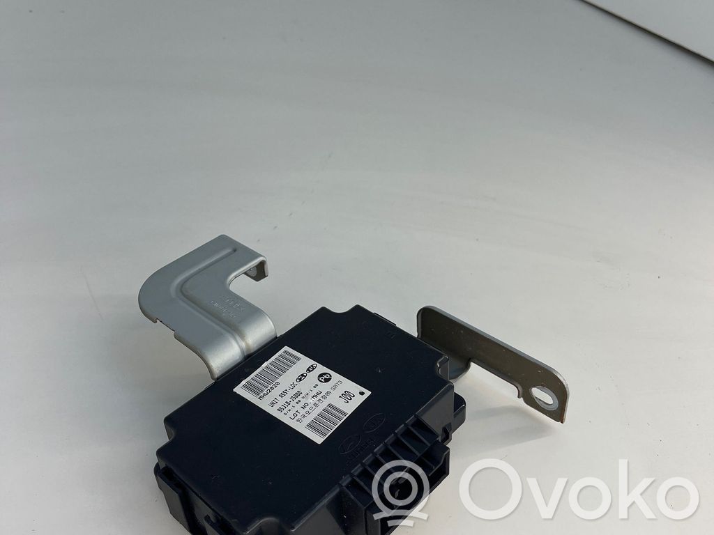 KIA Stinger Other control units/modules 