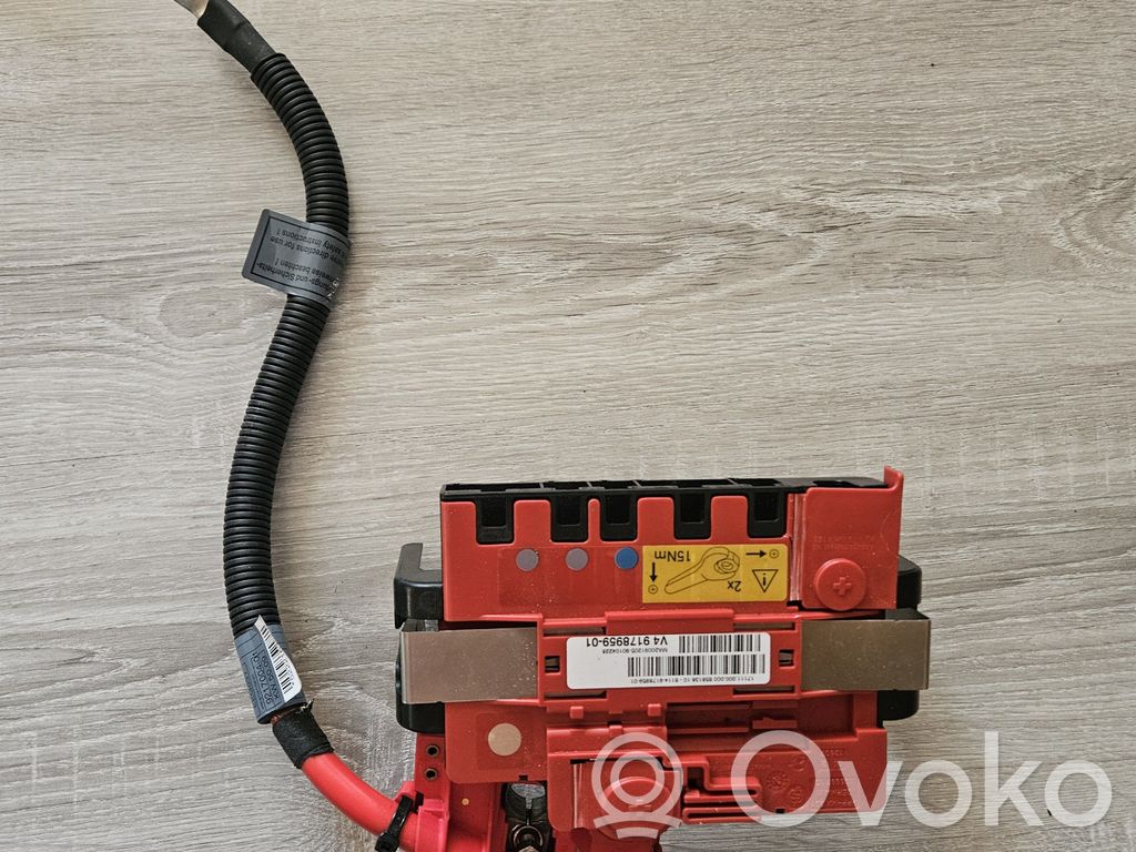 BMW X5 E70 Positive wiring loom 