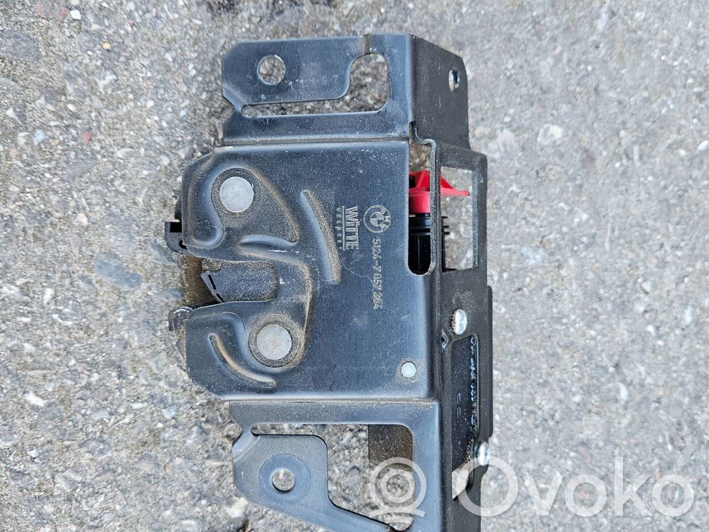 BMW X3 E83 Spyna galinio dangčio 