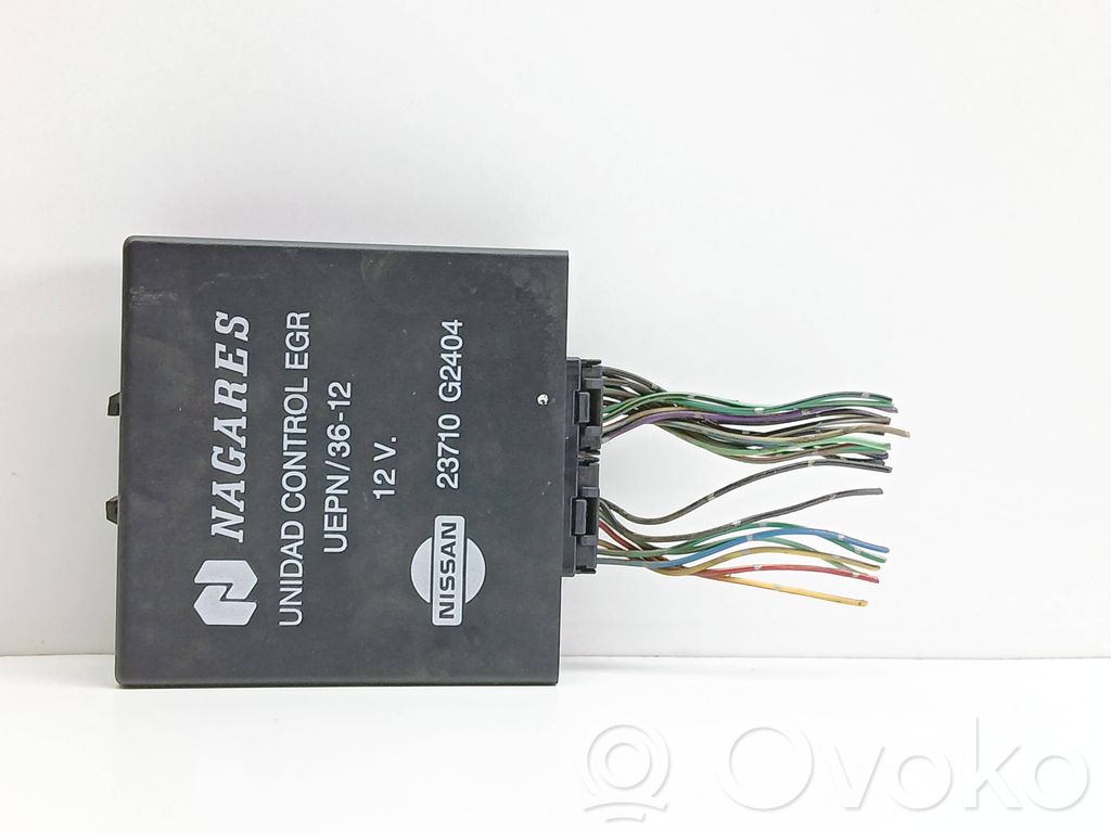 Nissan Terrano Other control units/modules 