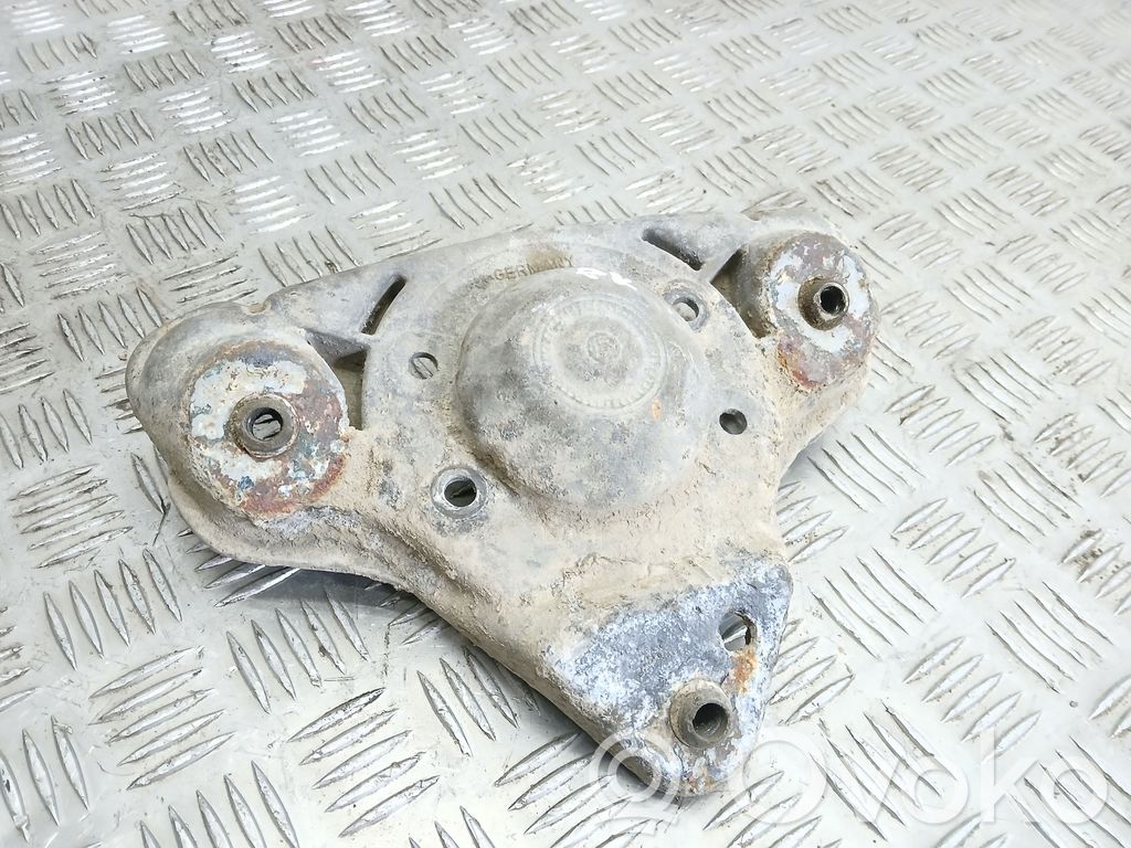 Coil spring mount