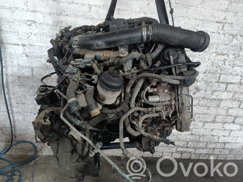 Motor