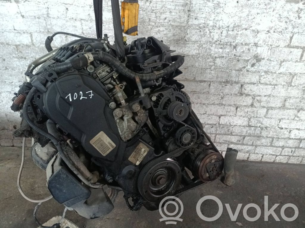 Variklis   D4204T