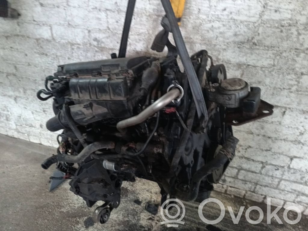 Motor