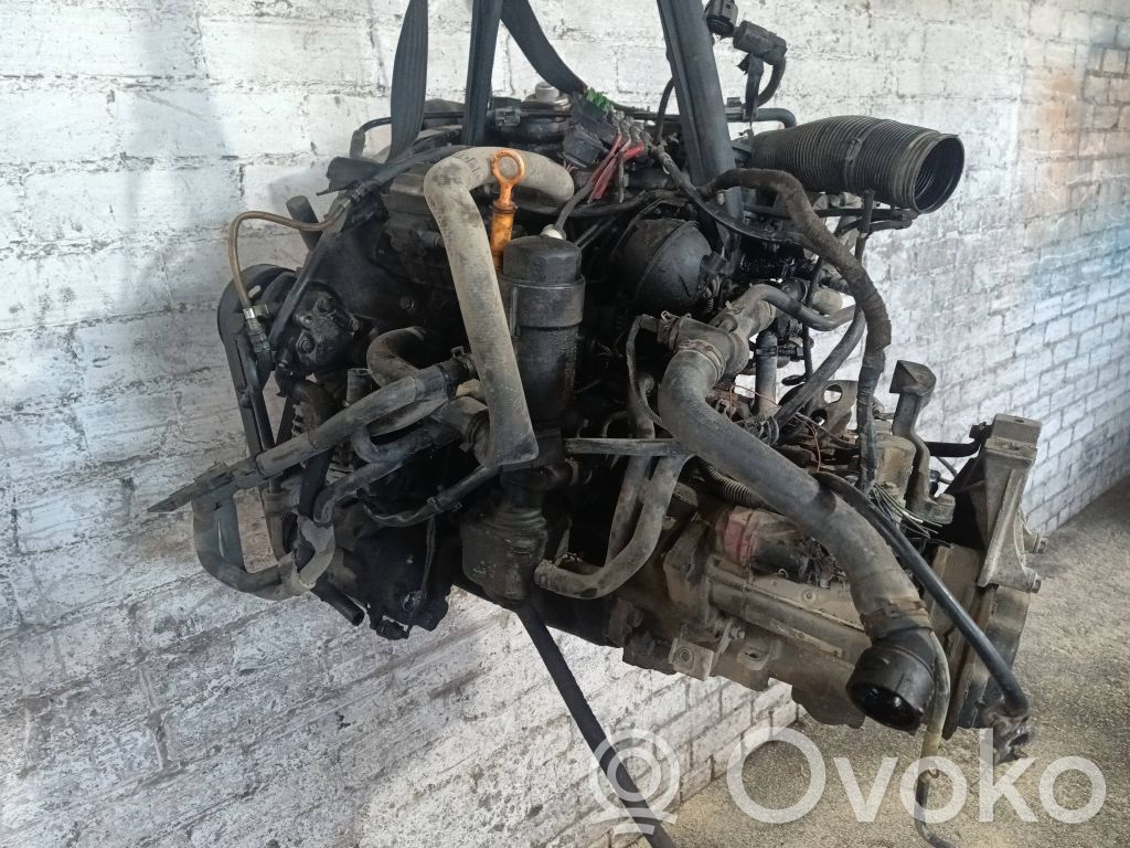 Motor