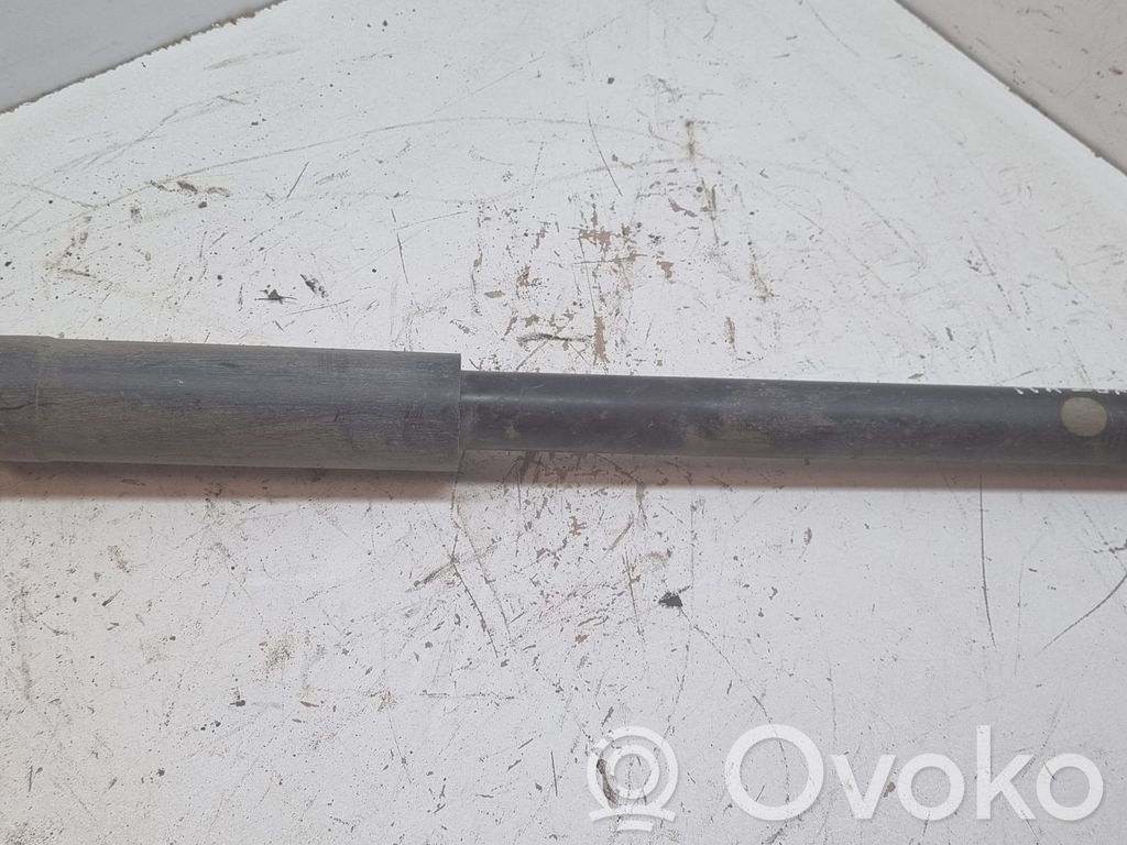 Mazda 2 Stoßdämpfer hinten 