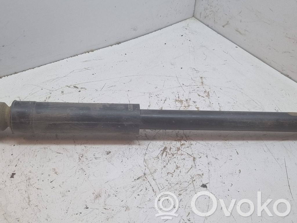 Stoßdämpfer hinten   DF712870XB