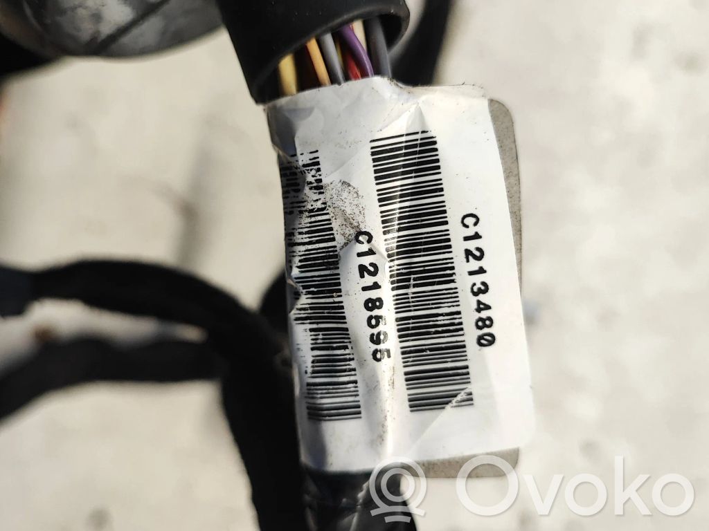 Cableado de puerta delantera   8200603480,93858595,C1213480,C1218595