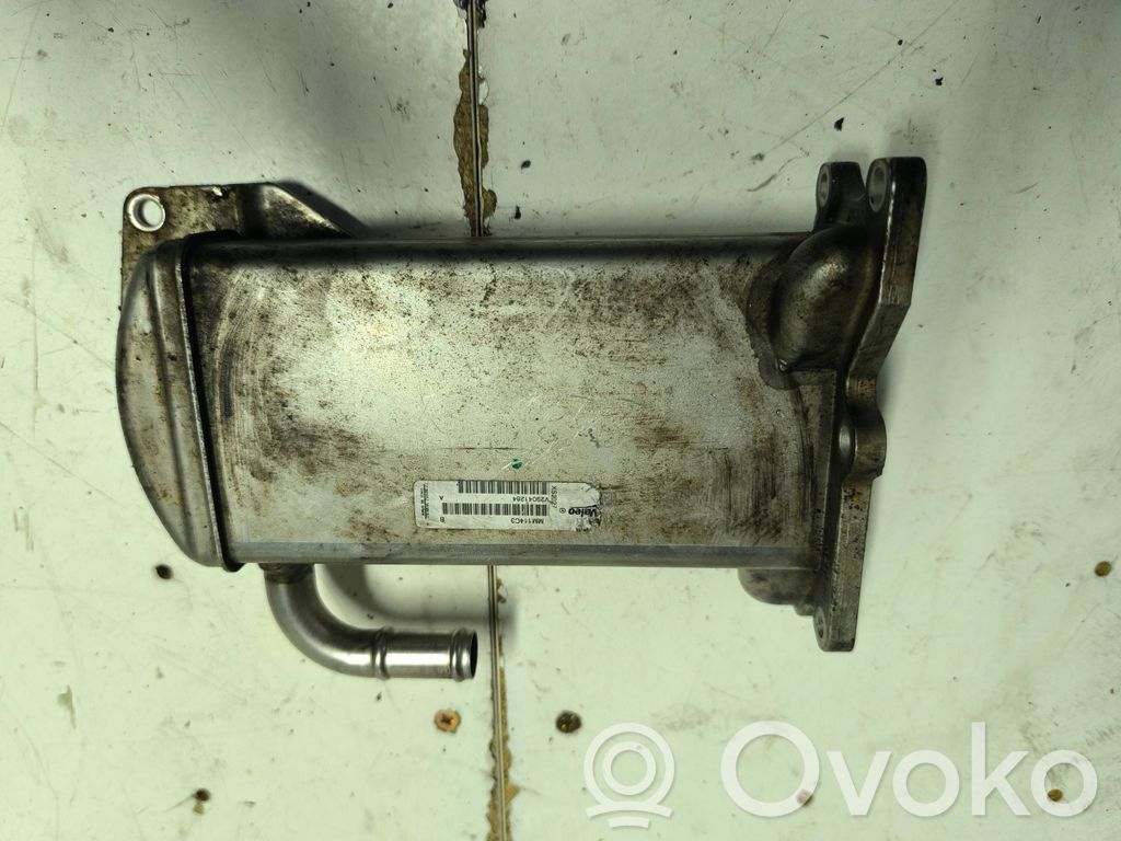 Volkswagen Transporter - Caravelle T5 Chłodnica spalin EGR 