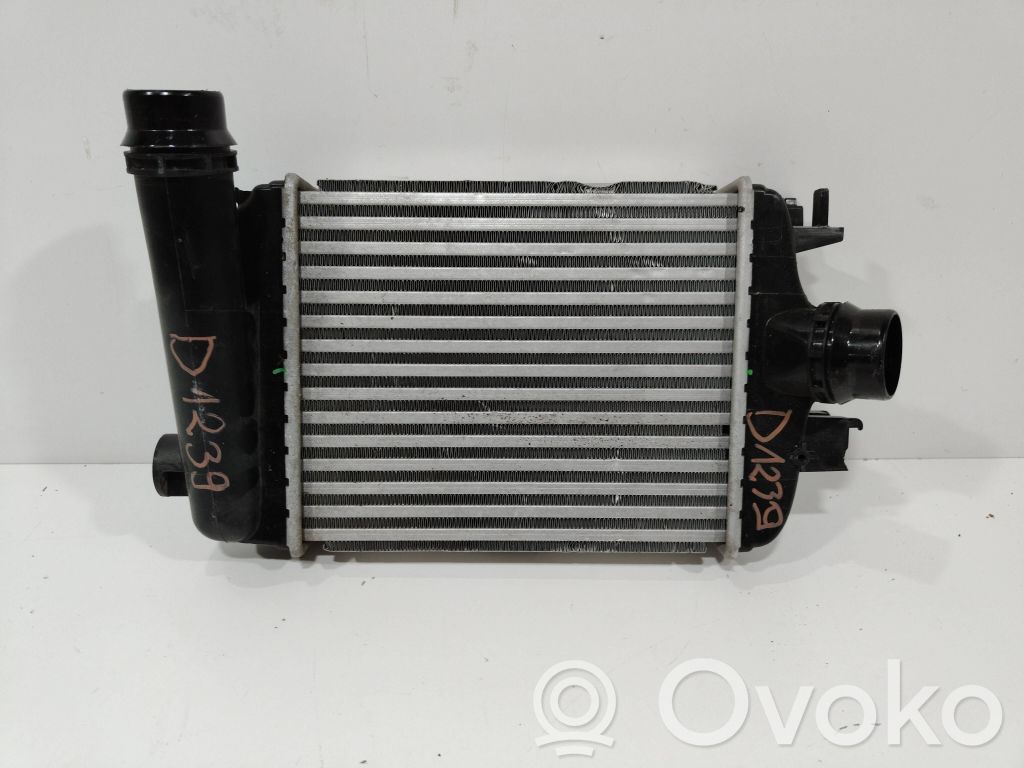 Renault Clio V Intercooler radiator 
