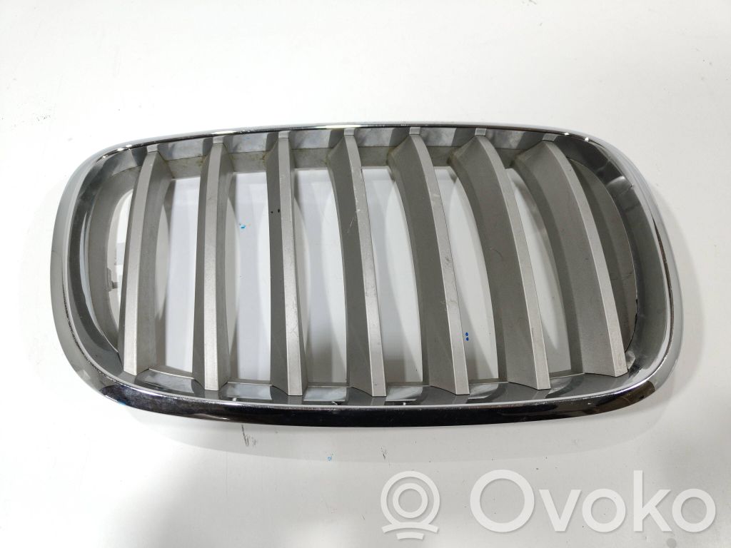 BMW X5 E70 Front bumper upper radiator grill 