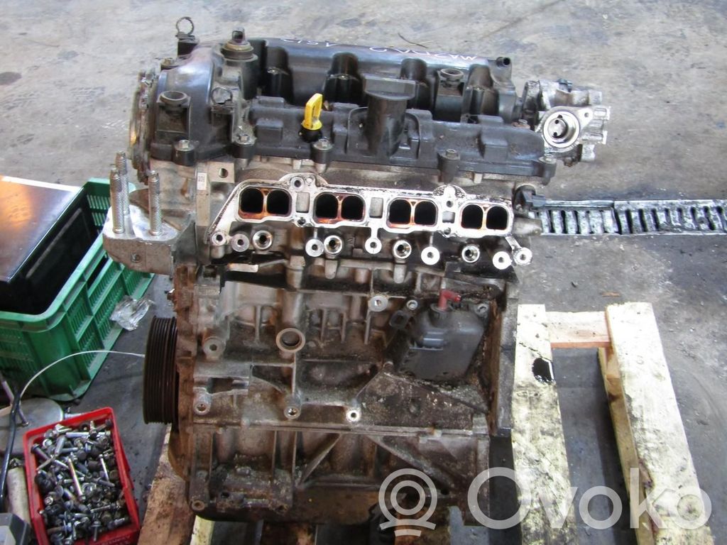 Variklis   P501,P501