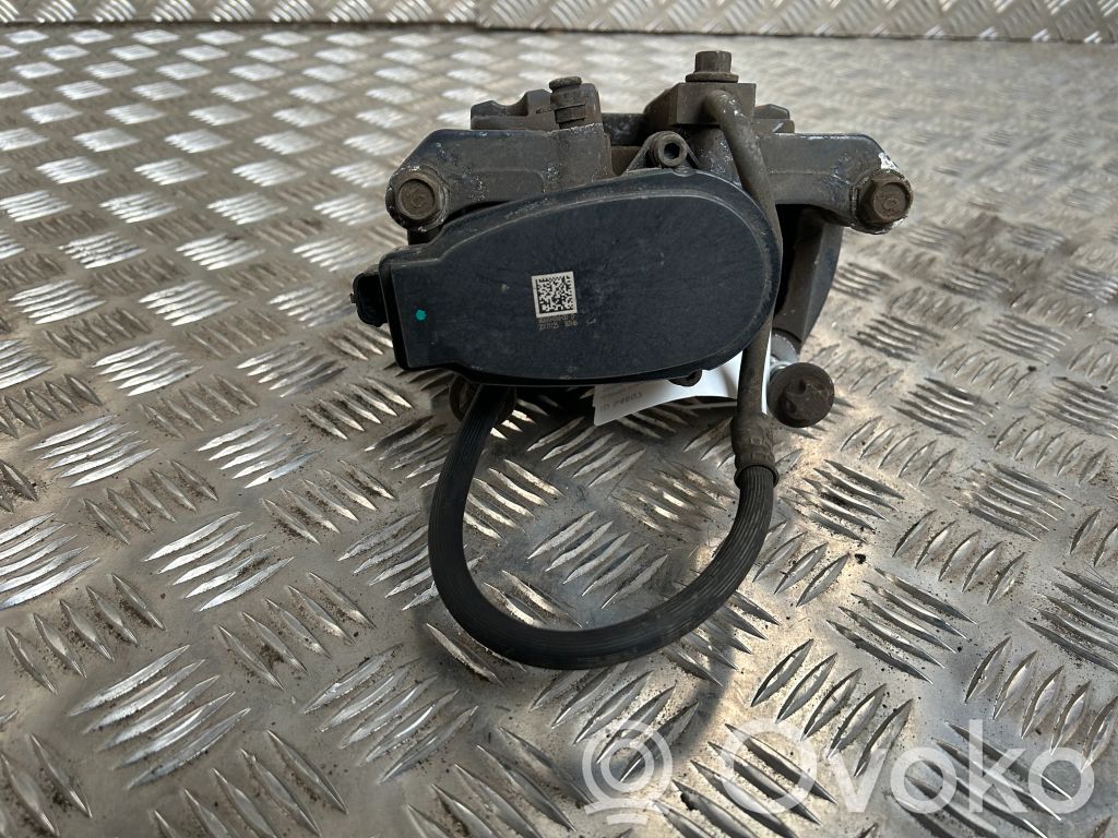 Takajarrusatula   107854200A