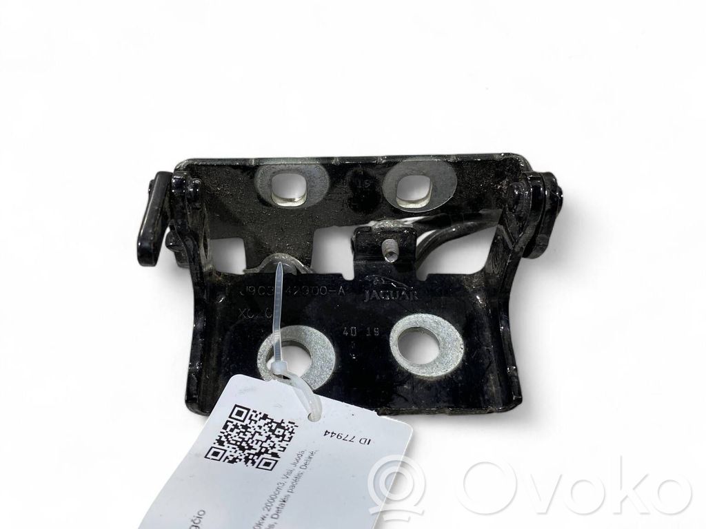 Jaguar E-Pace Tailgate/trunk/boot hinge 