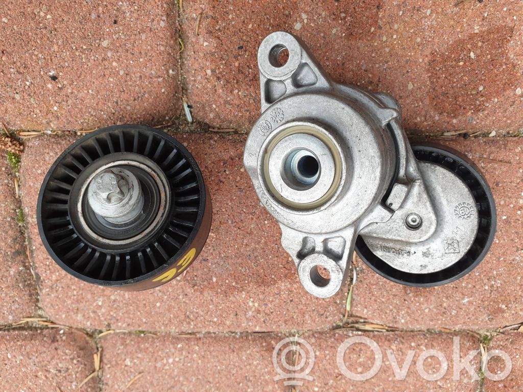 Fiat Ducato Napinacz paska wielorowkowego / Alternatora 