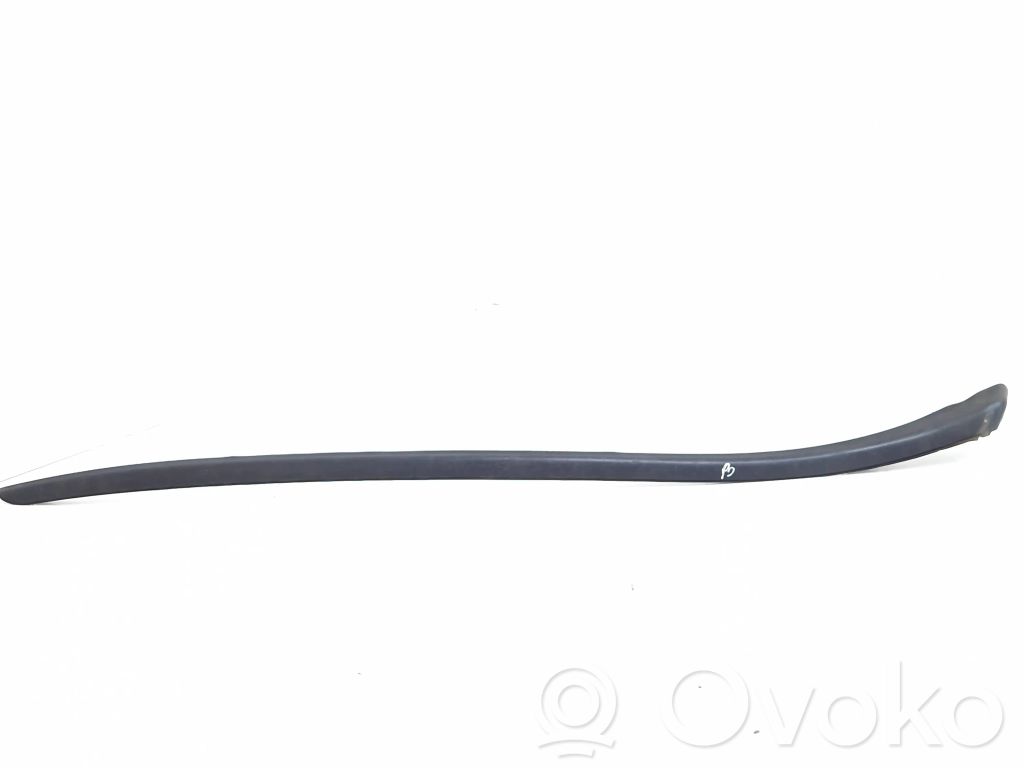 Citroen DS4 Windshield trim 