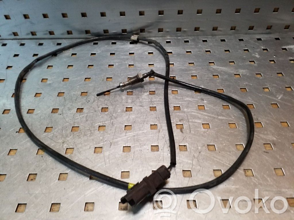 Citroen C5 Išmetamųjų dujų temperatūros daviklis 