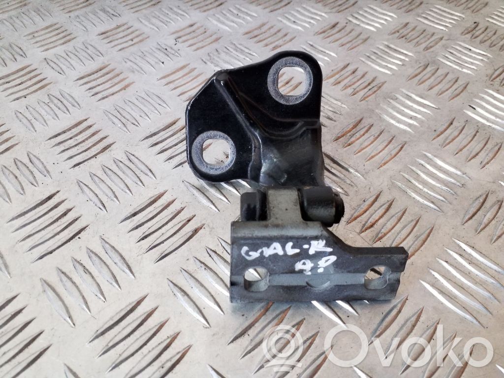 Rear door lower hinge   7017818
