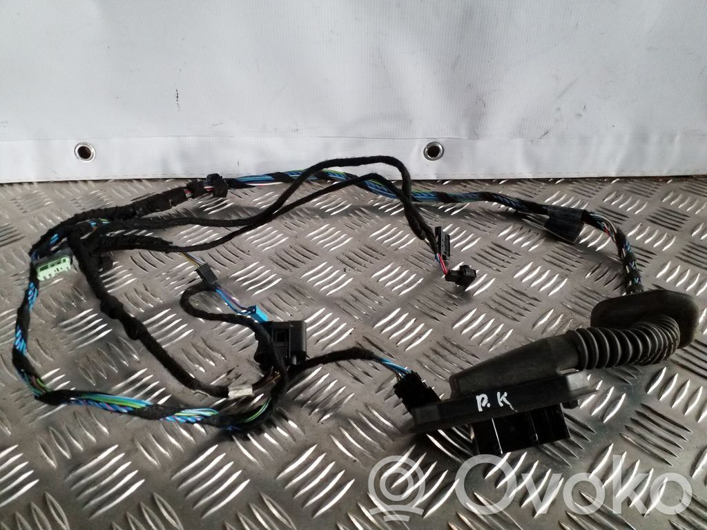 BMW X3 E83 Cableado de puerta delantera 