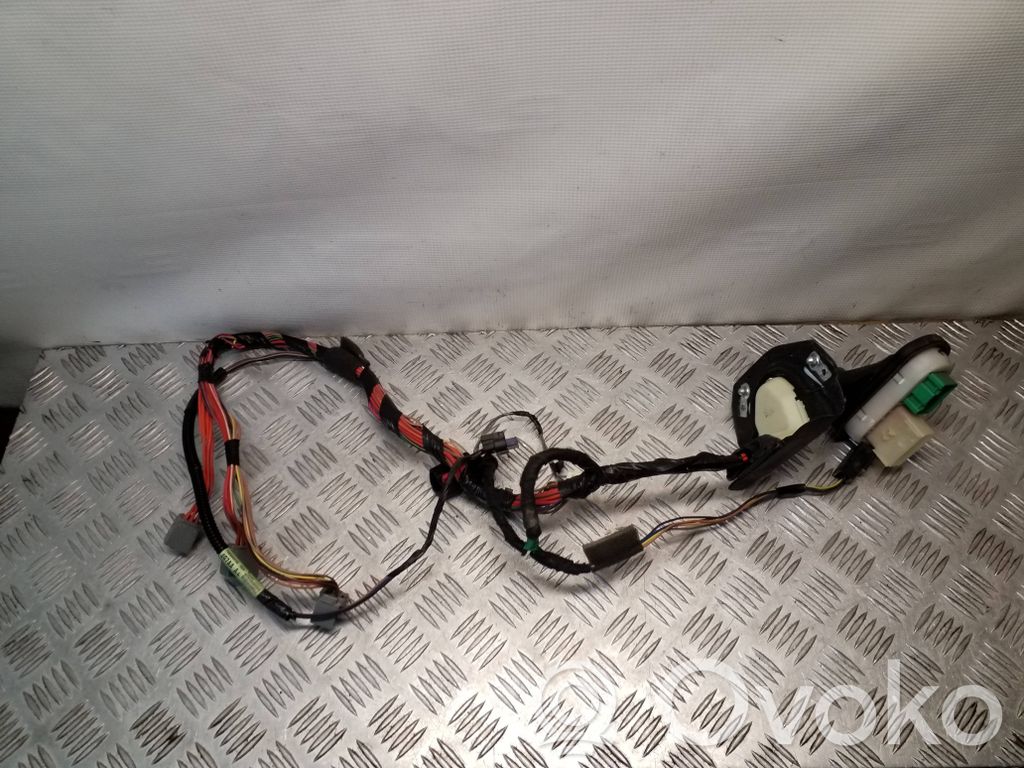 Jeep Patriot Cableado de puerta delantera 