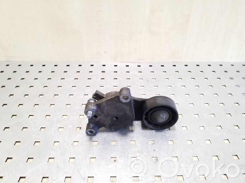 Tensor de correa del alternador   TF129B