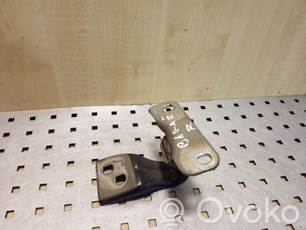 Tailgate/trunk/boot hinge   13275575