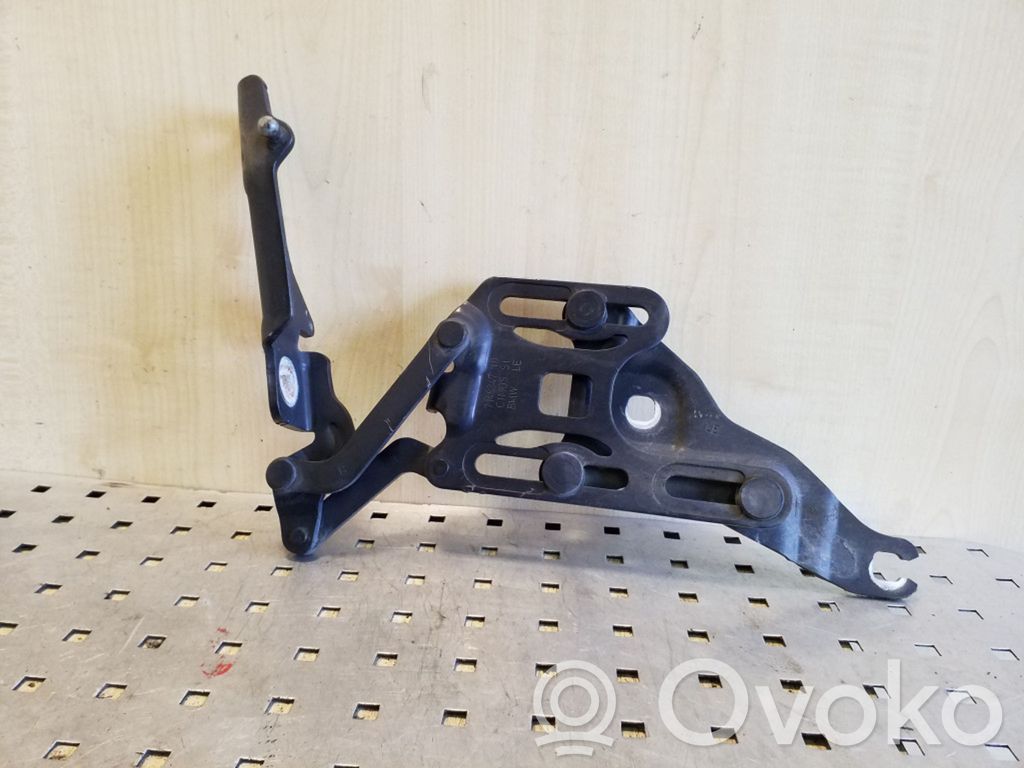 BMW X5 E70 Engine bonnet/hood hinges 