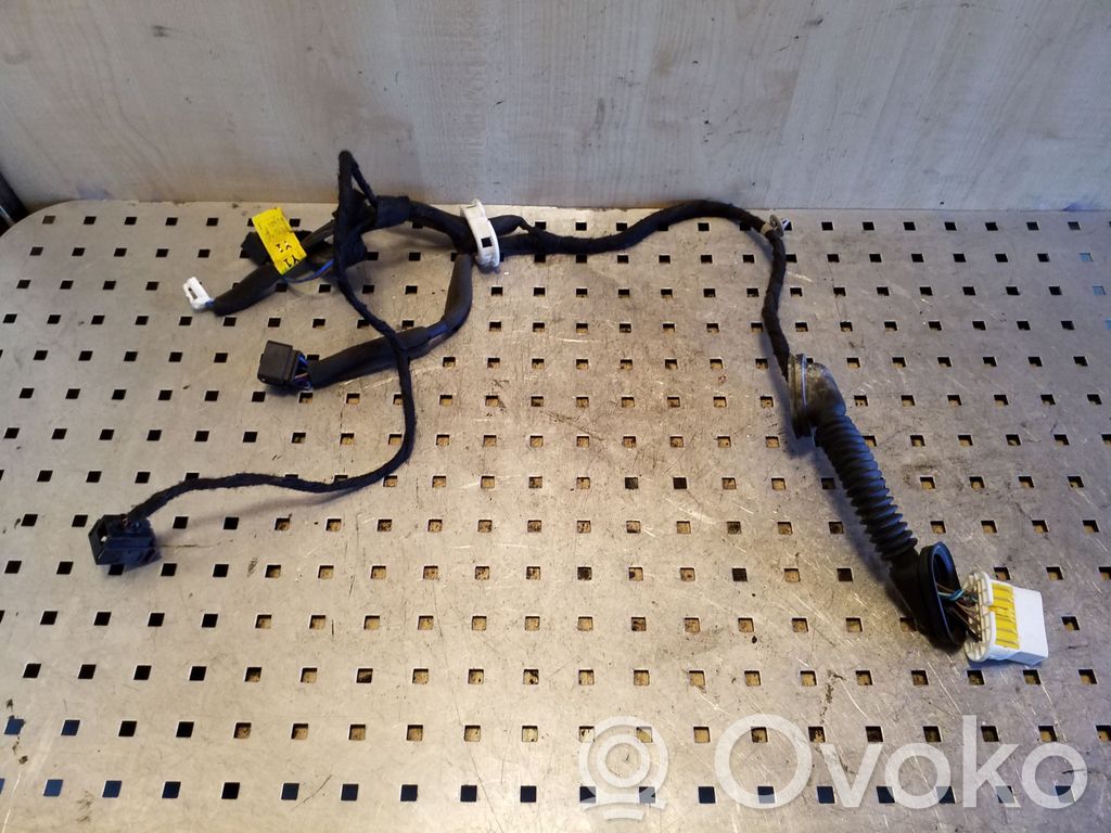 Opel Antara Cableado de puerta trasera 