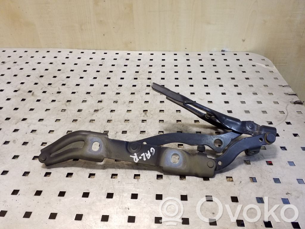 Tailgate/trunk/boot hinge   706062807