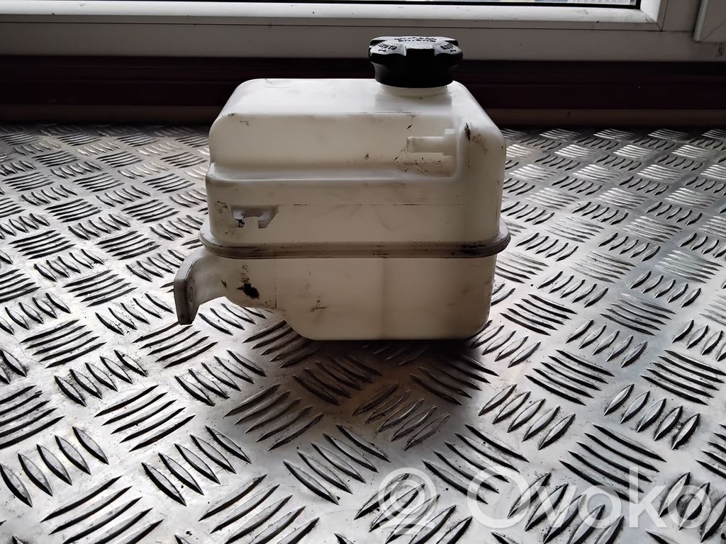 KIA Sportage Serbatoio di compensazione del liquido refrigerante/vaschetta