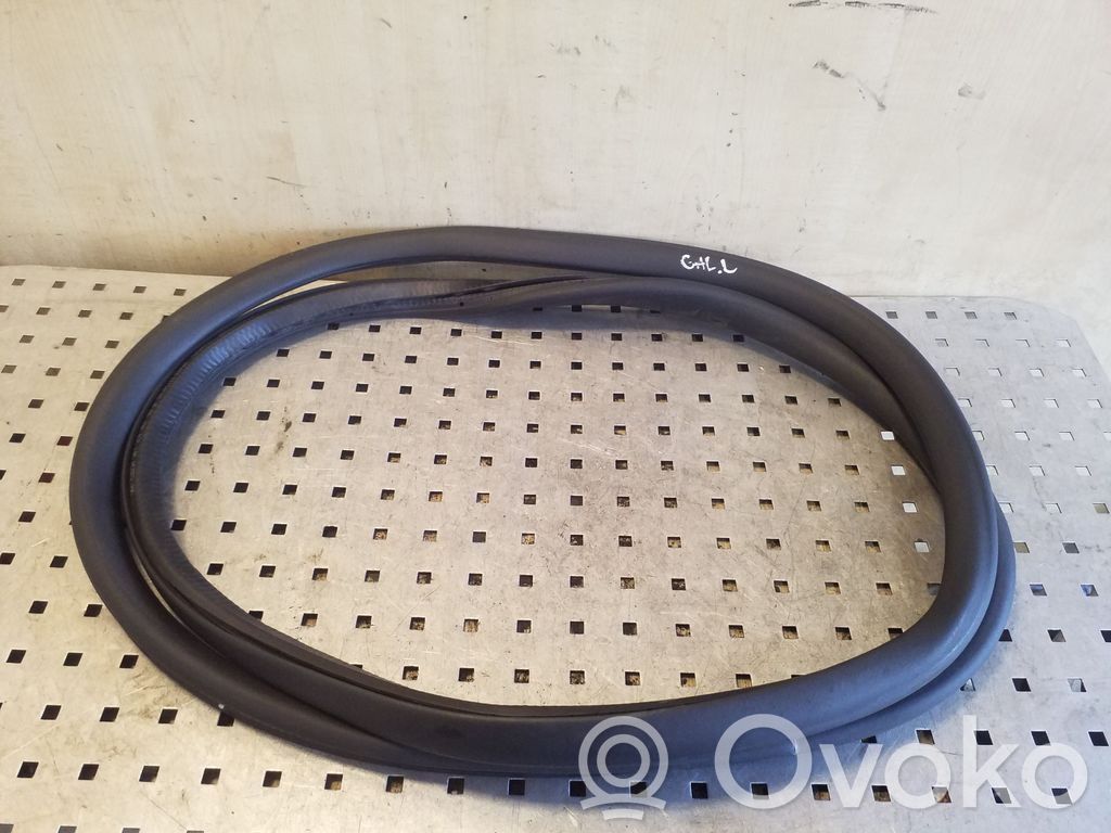 Volkswagen PASSAT B7 Cheder ușă spate (caroserie) 