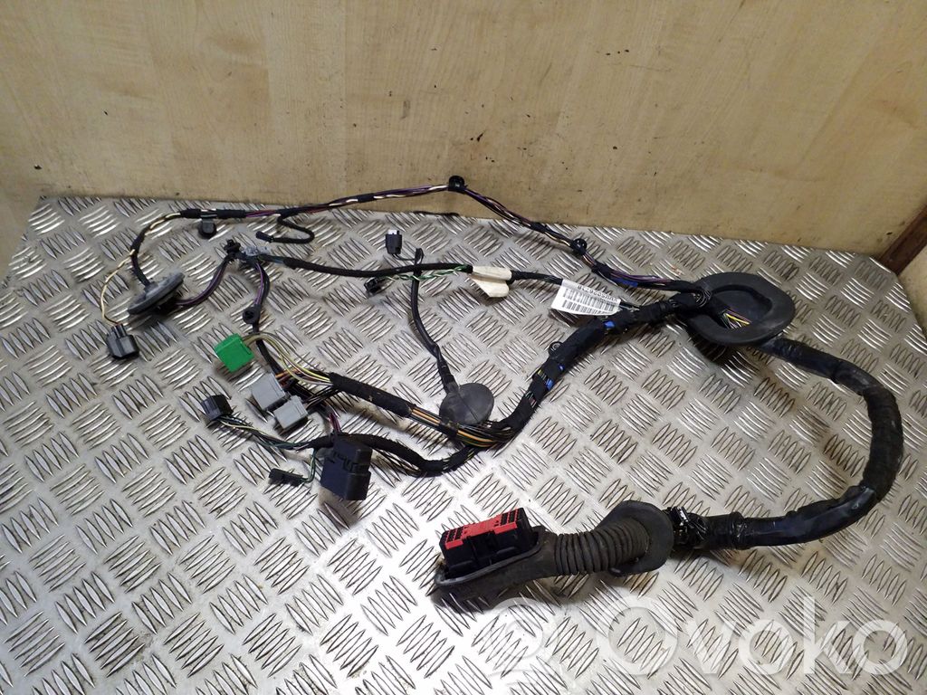 Land Rover Range Rover Sport L320 Cablaj ușă față 