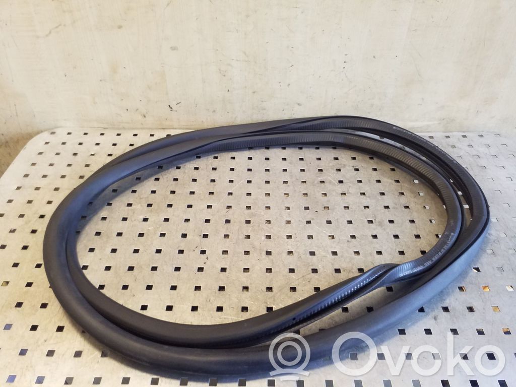 Volkswagen Tiguan Guarnizione in gomma portiera anteriore