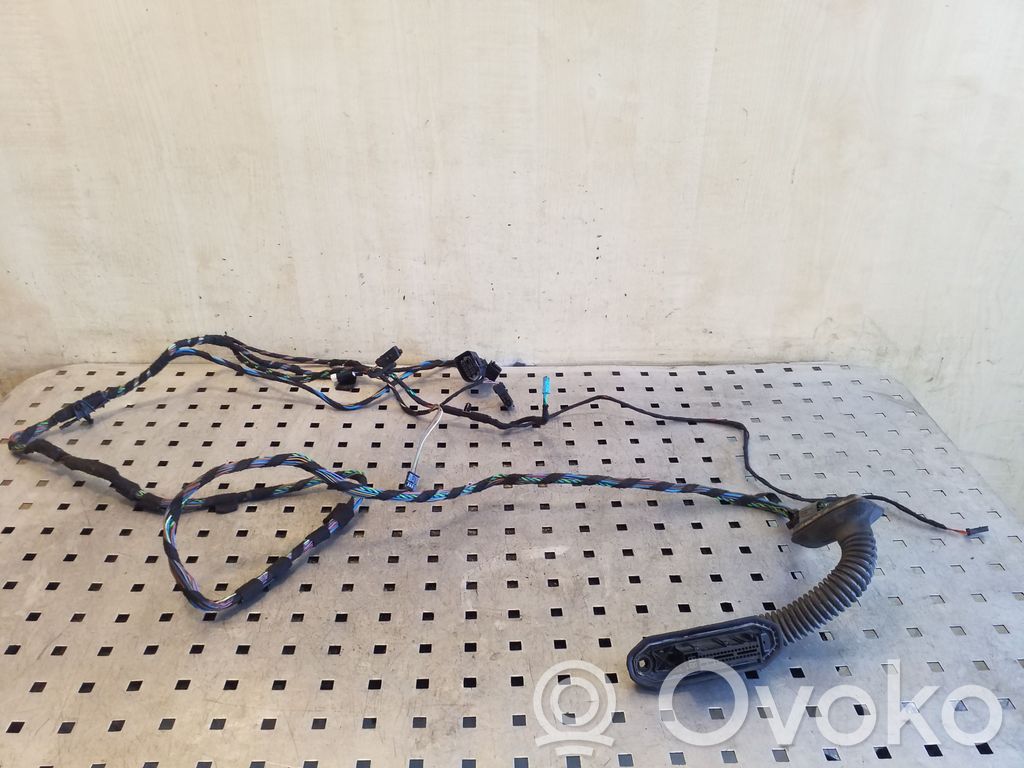 BMW X5 E70 Cableado de puerta trasera 