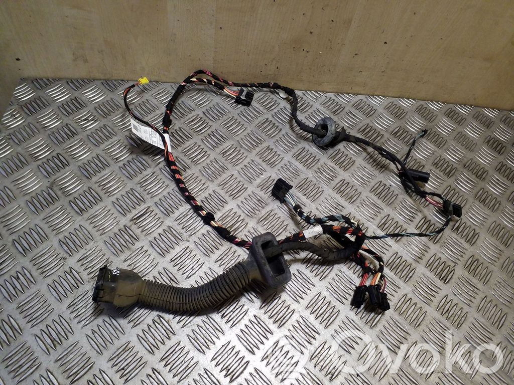 Cableado de puerta delantera   13709763