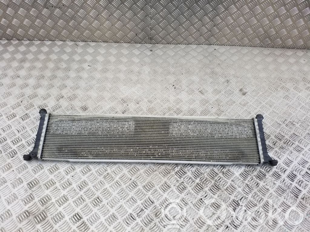 Tesla Model S Elektromobilio variklio aušintuvas 