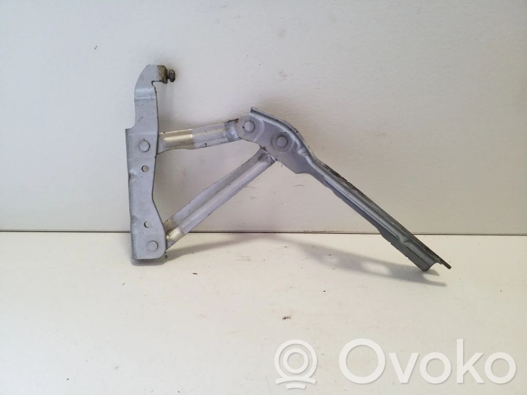 Volkswagen Eos Cerniere del vano motore/cofano