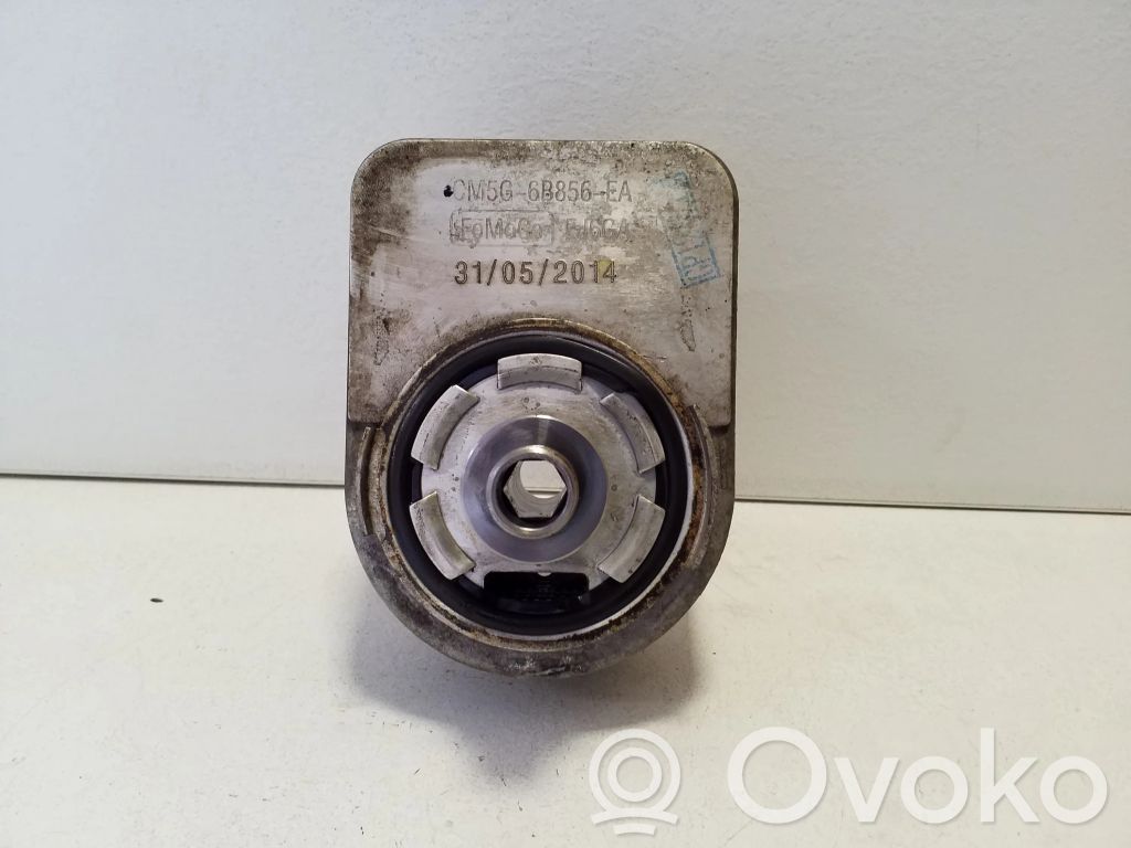 Halterung Ölfilter / Ölkühler   CM5G6B856EA