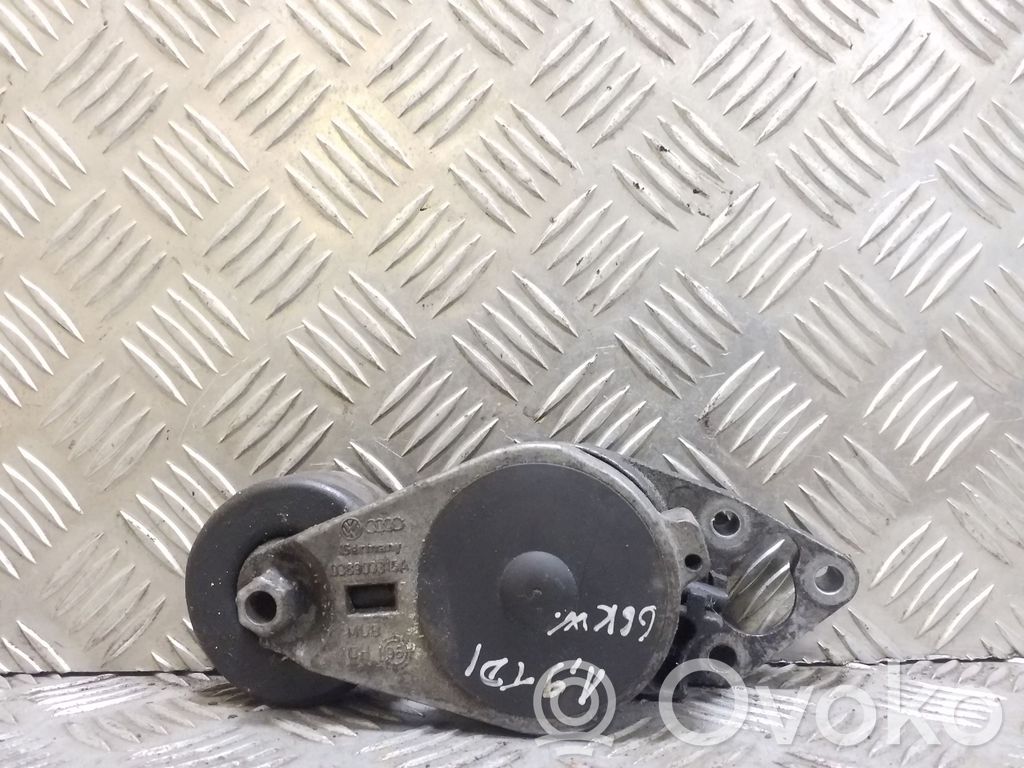 Audi A3 S3 8L Întinzător curea generator/alternator 