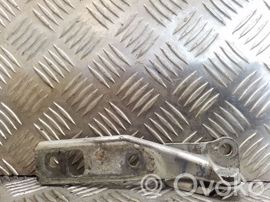 Volkswagen Golf IV Balamale capotă 