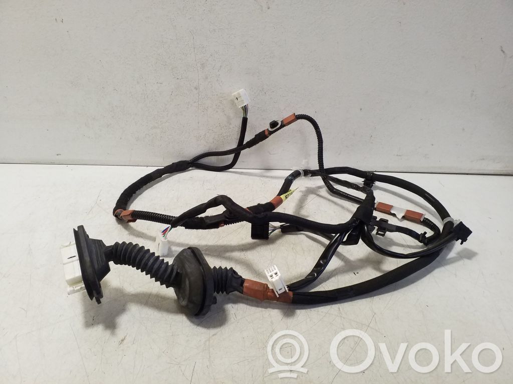 Lexus NX Cableado de puerta trasera 