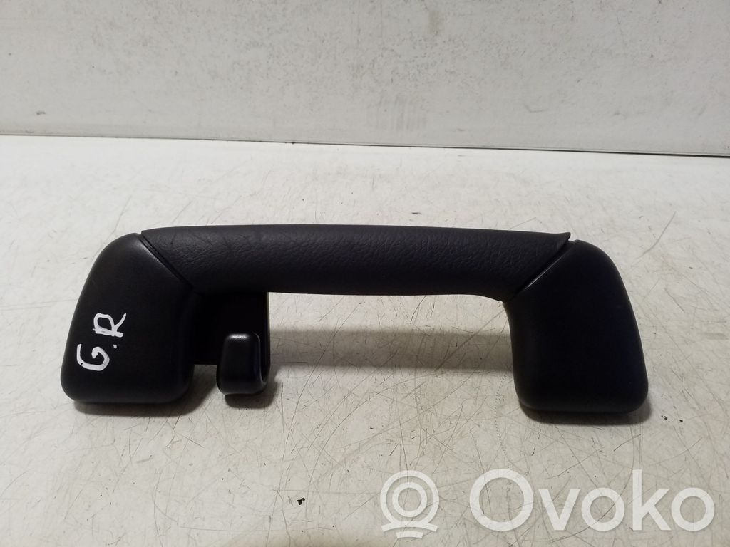Lexus NX Haltegriff hinten 