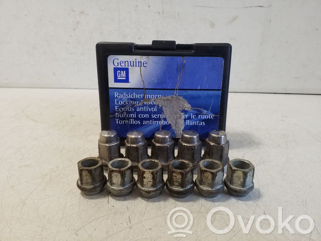 Mutterit/pultit   13331084