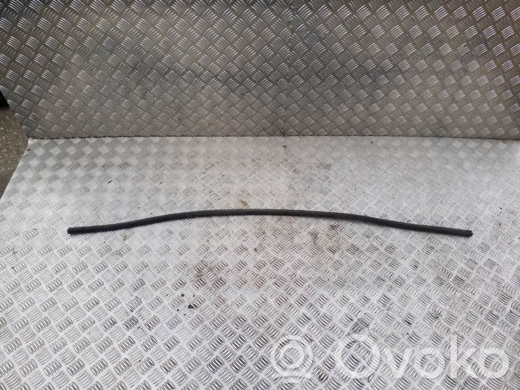 Goma del compartimiento del motor