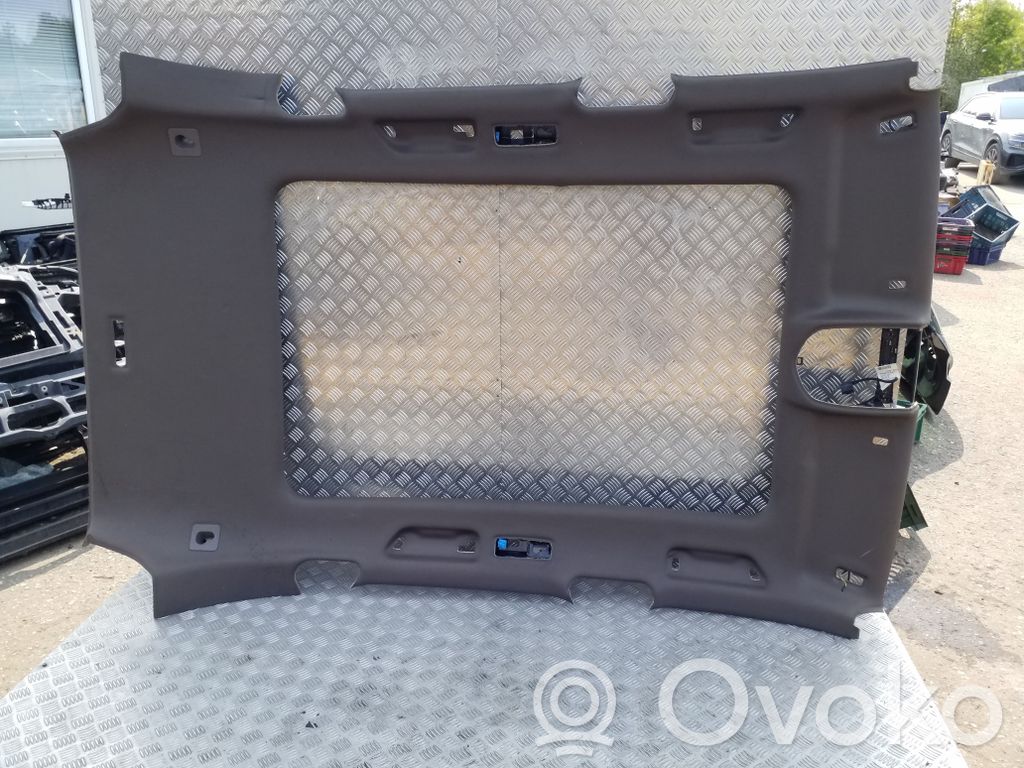 Porsche Cayenne (92A) Techo 