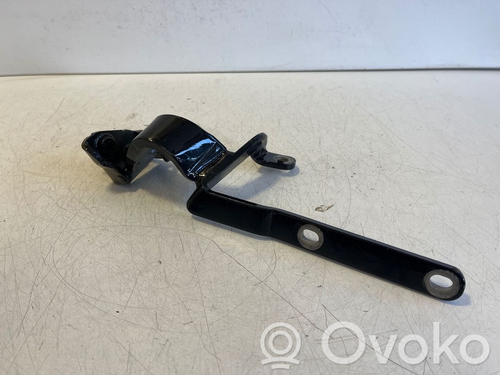 Audi A5 Tailgate/trunk/boot hinge 
