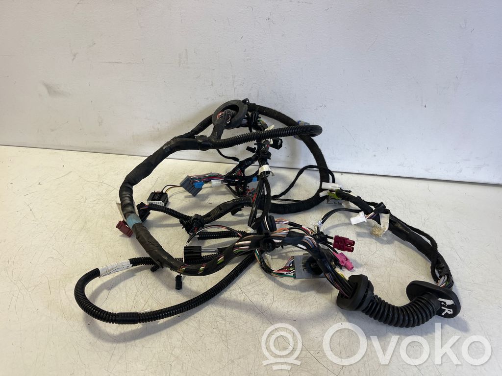 Tesla Model S Cableado de puerta delantera 