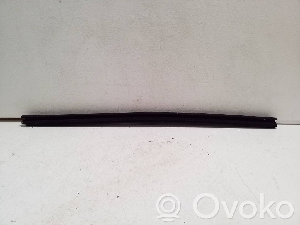 Listwa / Uszczelka szyby drzwi przednich   103840500A,103840600A