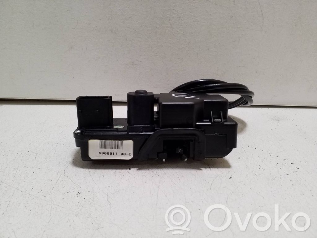 Cerradura de puerta trasera   600891100D