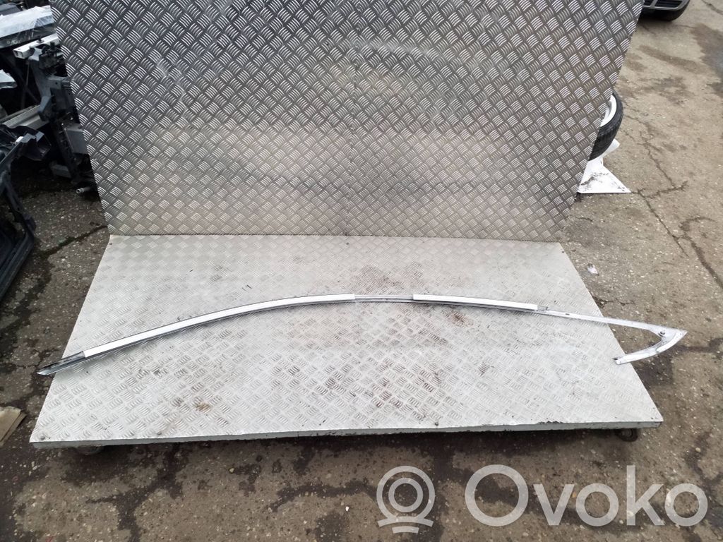 Tesla Model S Dachzierleiste